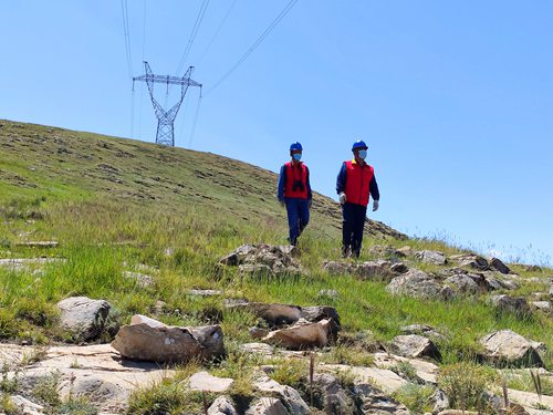 國(guó)網(wǎng)伊犁供電公司95后巡線(xiàn)小伙偶遇“小花蛇”