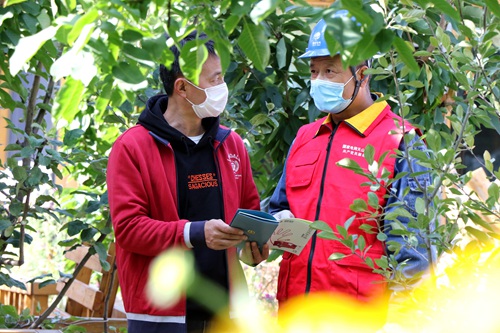 國網伊犁供電公司：暖心服務為當地民宿業(yè)“添底氣”