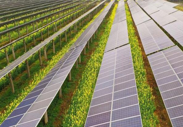 廣東清遠(yuǎn)建設(shè)小型農(nóng)光互補(bǔ)光伏發(fā)電站，工程總投資1.5億元