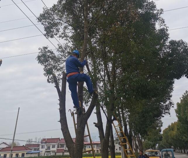 國網(wǎng)城固縣供電公司積極開展春季樹障清理工作，打通線路安全通道  　　中國電力網(wǎng)訊  陽春三月，草長鶯飛，又到了樹竹快速生長的季節(jié)，茂密的樹木包裹10千伏及0.4千伏導(dǎo)線，“線樹”矛盾愈發(fā)嚴重，此時也正
