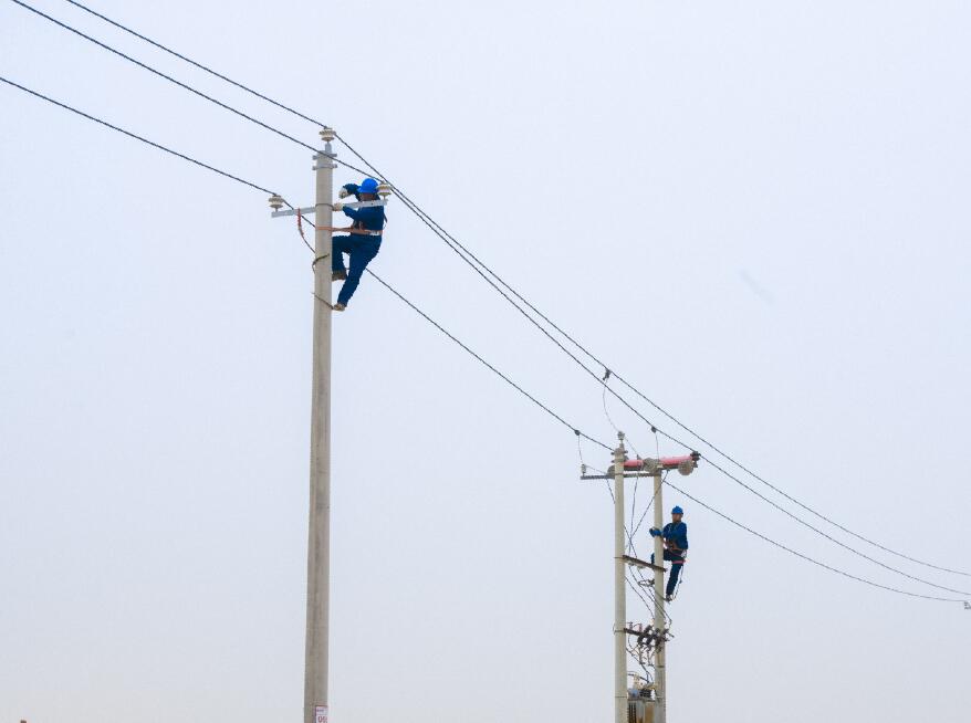 阿拉善供電公司：電網(wǎng)健康“體檢”，從登桿開(kāi)始