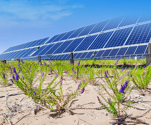 光伏治沙+風(fēng)光大基地，寧夏“走出”生態(tài)保護(hù)和高質(zhì)量發(fā)展新道路