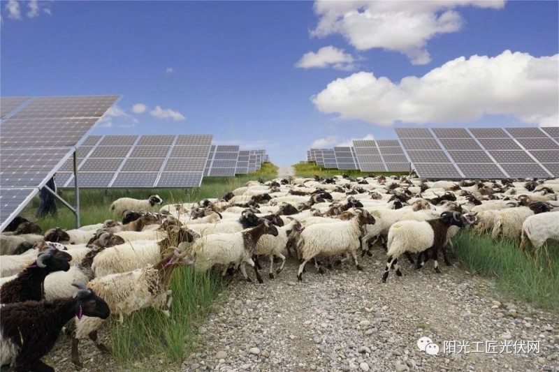 面積接近一個新加坡！青海塔拉灘光伏電站照亮“陽光之路”