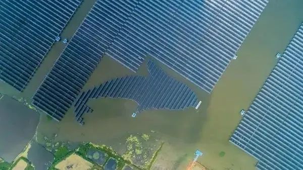 泗洪1000MW光伏領(lǐng)跑者項目被勒令拆除整改！