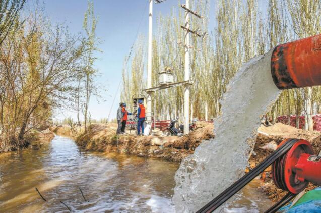 新疆和碩:春來麥返青 春灌動(dòng)力足