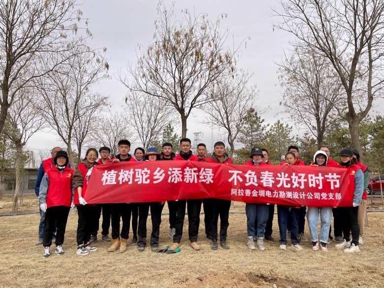 阿拉善金圳電力設(shè)計(jì)公司：植樹(shù)駝鄉(xiāng)添新綠 不負(fù)春光好時(shí)節(jié)