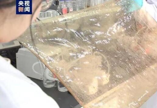 國產(chǎn)新型離子膜問世，有望在新能源的儲能領(lǐng)域廣泛應(yīng)用