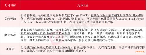 中國儲能企業(yè)出海"攻略": A股磷酸鐵鋰廠商扛大旗 國產電芯接連斬獲大單