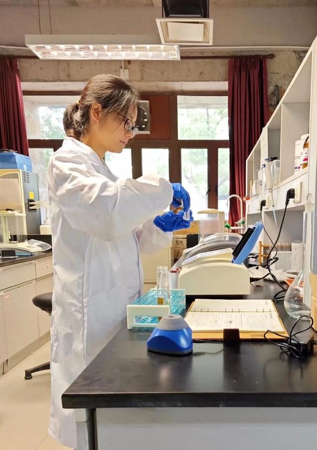 寶山這位博士后探索“氫轉(zhuǎn)甲烷”科創(chuàng)路徑，推動(dòng)清潔能源制氫