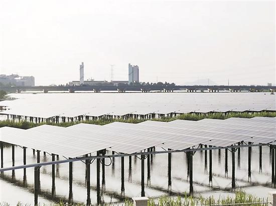 汕頭金平區(qū)88兆瓦集中式漁光互補項目計劃10月并網(wǎng)投產(chǎn)，年發(fā)電量可達1.2億度