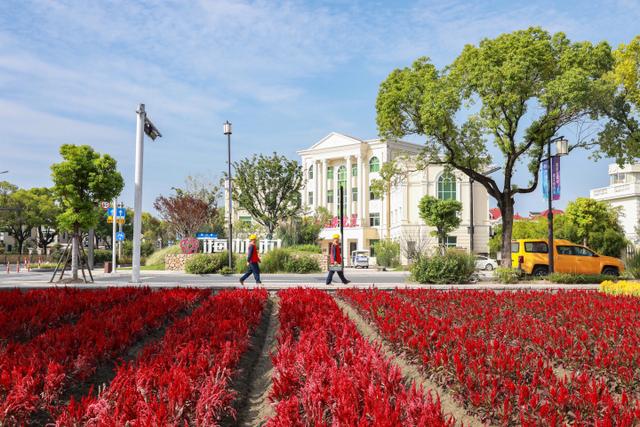 “電靚”和美鄉(xiāng)村，過去20年，杭州電力做了什么