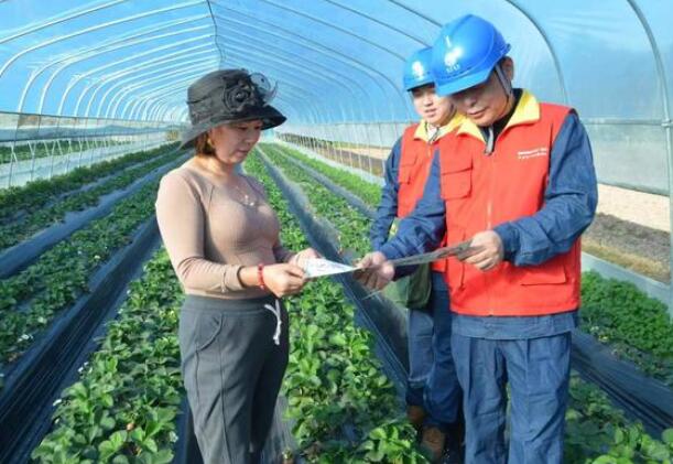 甌海供電優(yōu)質服務“電”亮“莓”好產業(yè)