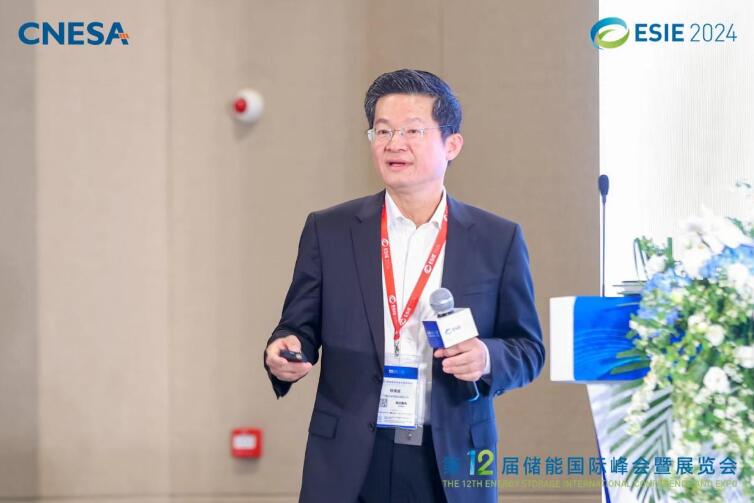 林澤波：儲能企業(yè)出海不是價格競爭，而是以定制優(yōu)質(zhì)產(chǎn)品和服務(wù)實現(xiàn)可持續(xù)發(fā)展
