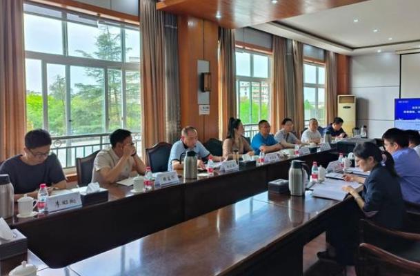 “氫”裝上陣，自貢市加快推動氫能全產(chǎn)業(yè)鏈發(fā)展