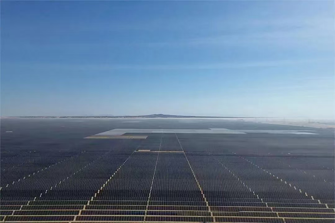 沙特阿爾舒巴赫2.6吉瓦光伏電站項目榮獲2024年國際工程綠色供應(yīng)鏈管理“標桿項目”