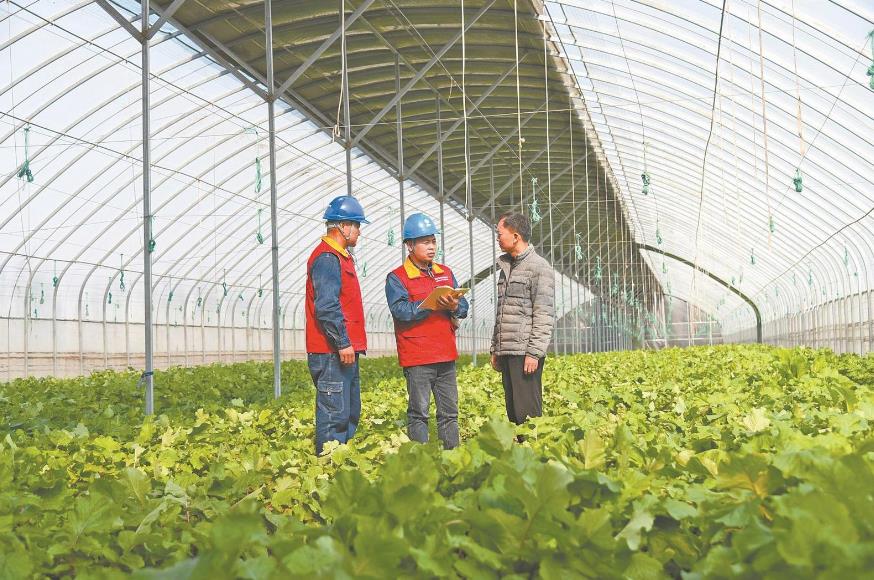 河南省許昌市：供電保障前置 鄉(xiāng)村產業(yè)興旺