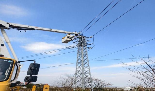 國網福清市供電公司春季防鳥害筑牢安全網