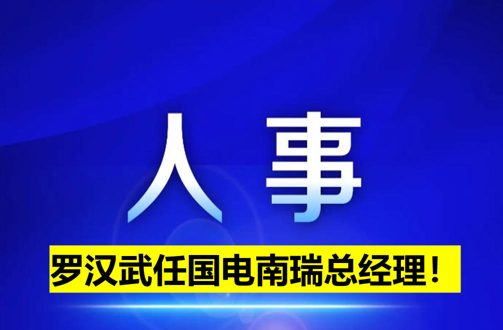 羅漢武任國電南瑞總經(jīng)理！